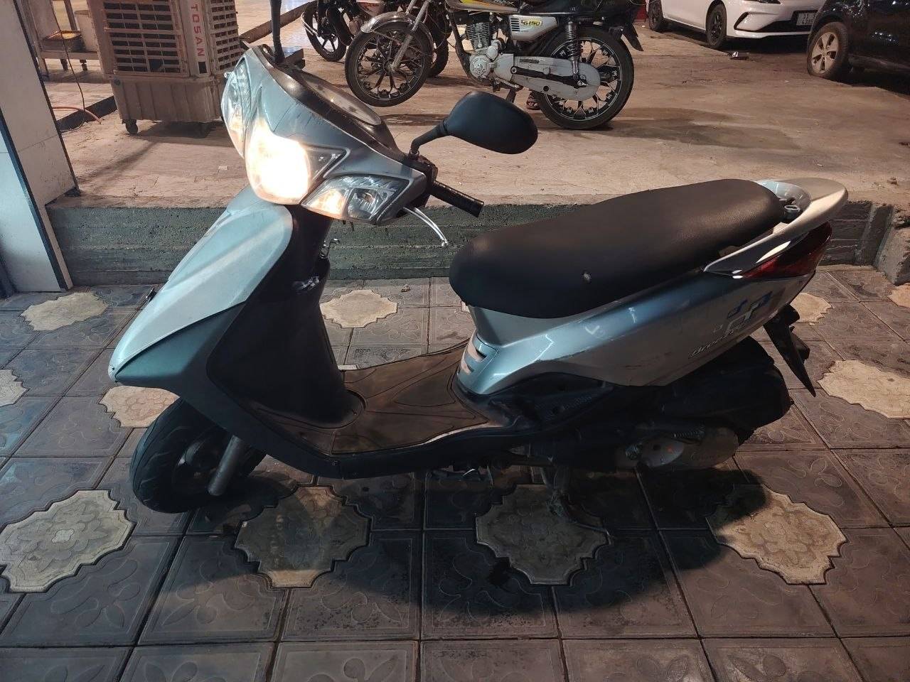 بريز ببغاء • نظيفه • حريه دولعي