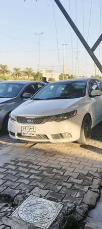 سيراتو • ٢٠١١ • صبغ عام