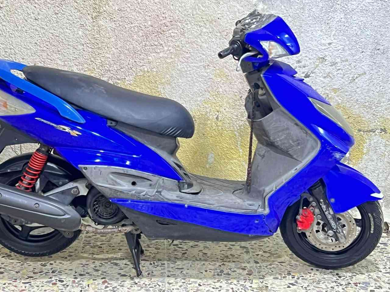 سكنس فحل • كفاله • اوراق كامله