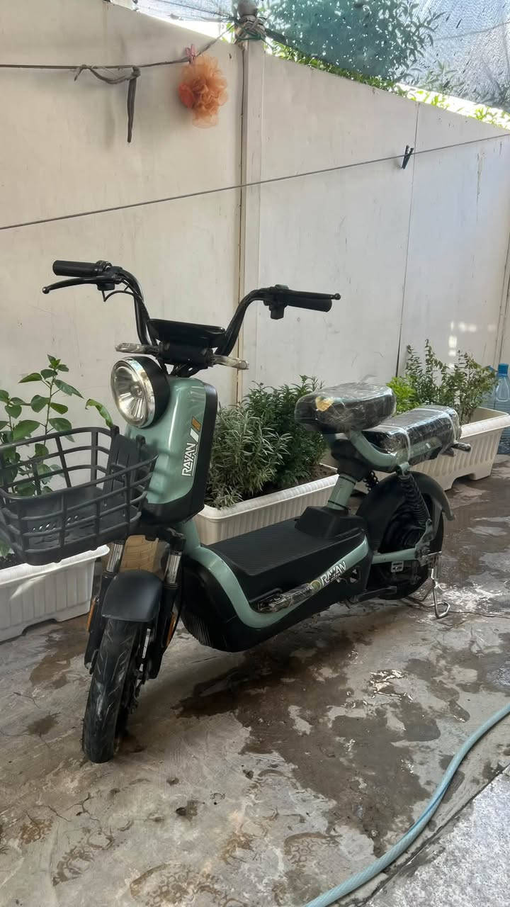 دراجه شحن موديل 26 شركه الريان
حجم14 
 و كل ملحقاتها موجوده 
 والدراجه اي نقص مابيها
اربع بطاريات كلشي مابيهن يلهثن لهث
والدراجه جديده
السعر 250 وبي مجال
بغداد السيديه 773 944 8764
