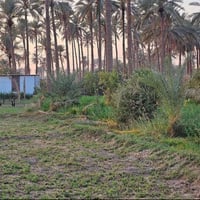 أرض • كربلاء قرب فندق البارون • ٢٠٠م
