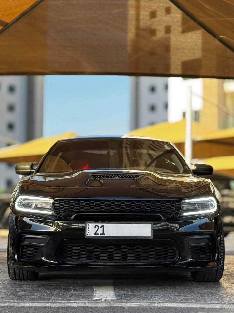 دودج جارجر • ٢٠١٩ • ٦ سلندر