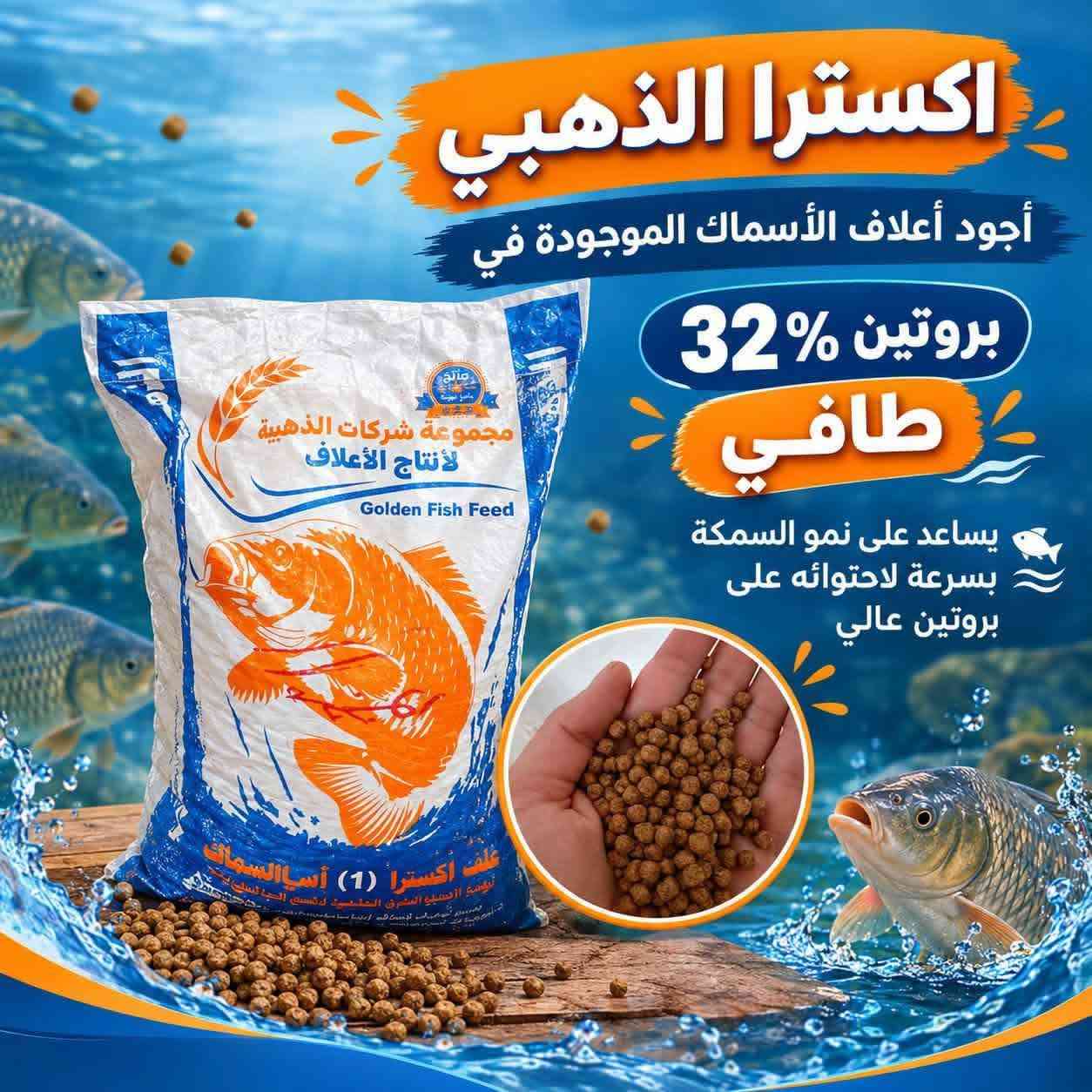 اعلاف اكسترا • غاطس طافح • بروتين ٣٢٪