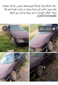 اخضر • بداية نفخ • الموصل ربيعة