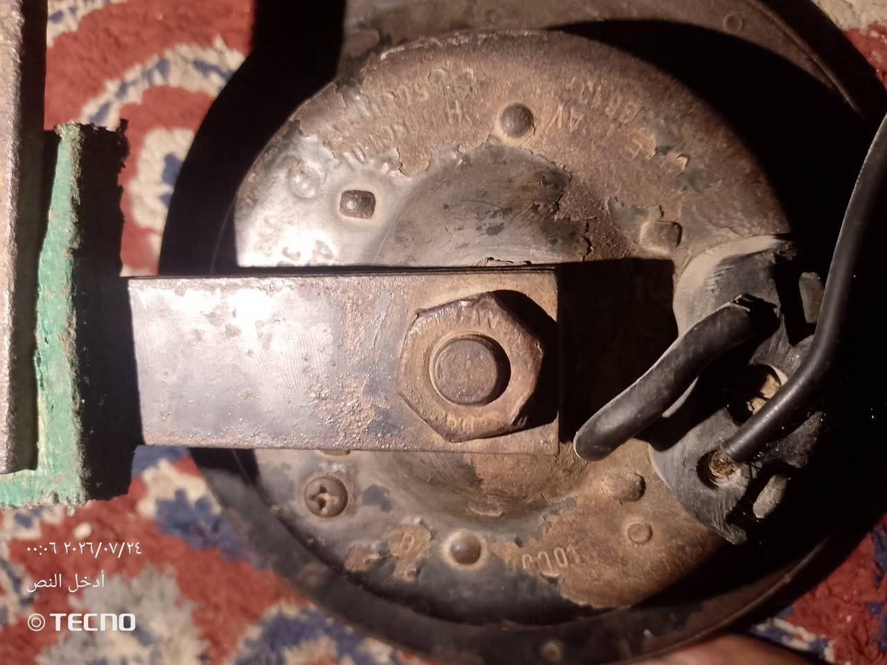 سلام عليكم هورنات بوش اللبيع جنح اصلي وين ما يعجبك وديهن   مكاني بغداد المدينه الشراي يتصل *********** سعر 400 وبي مجال
