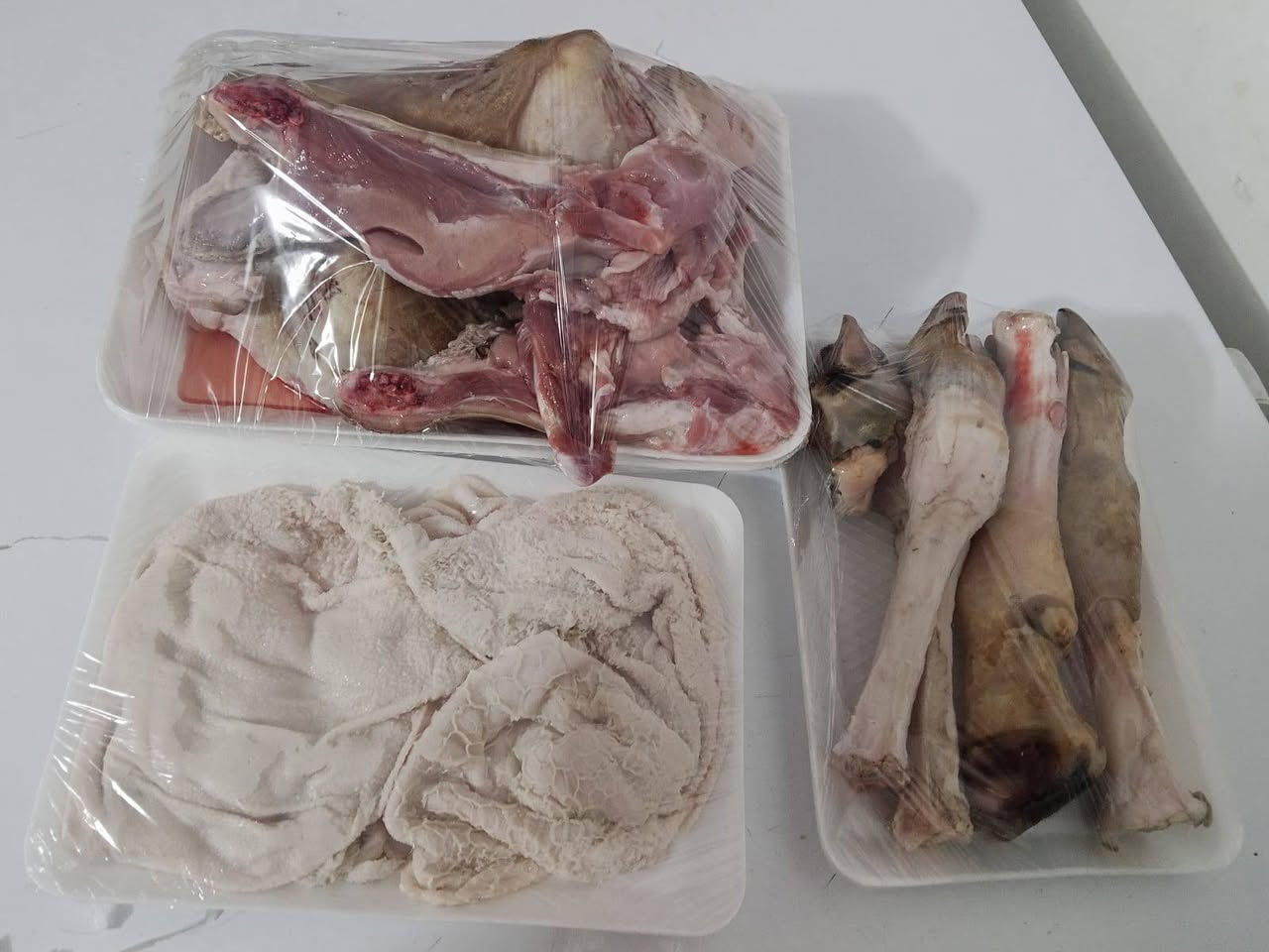 عرض يومين • بمبارات وباجة • توصيل