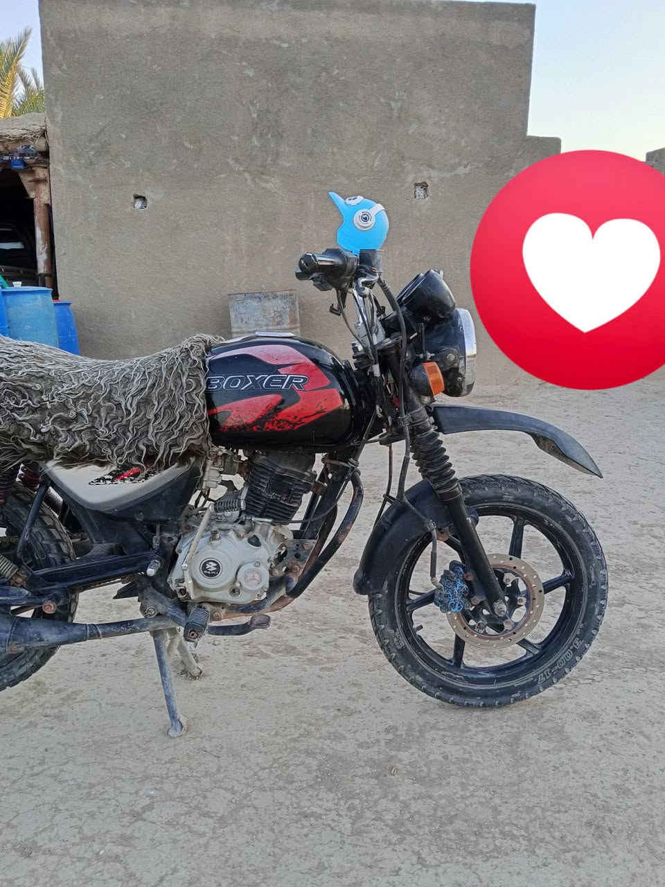للبيع بوكسر جبلي 21 مرقم بسمي ***********

