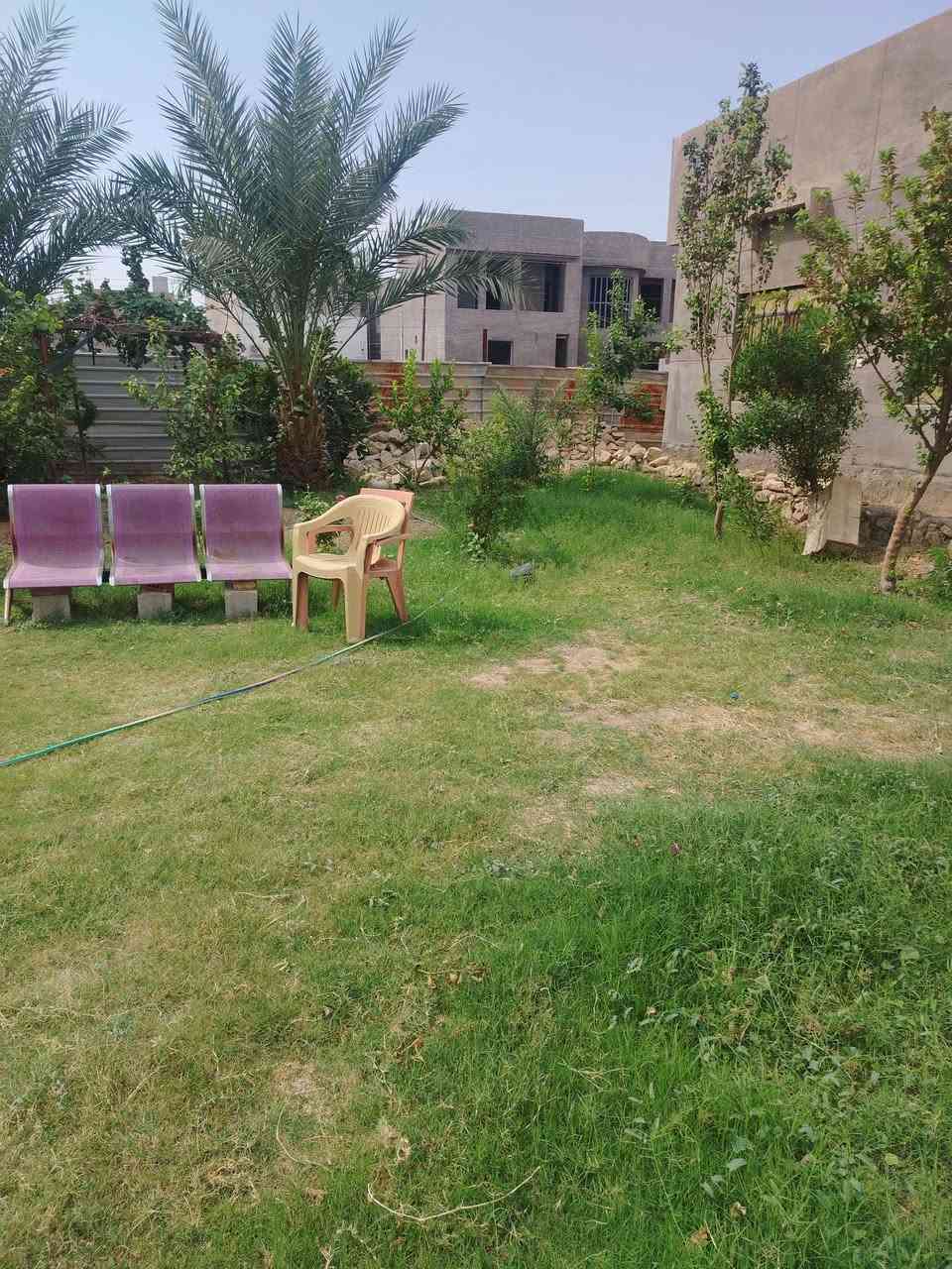 الرمادي الصوفيه • طابو زراعي • ٢٢٨م
