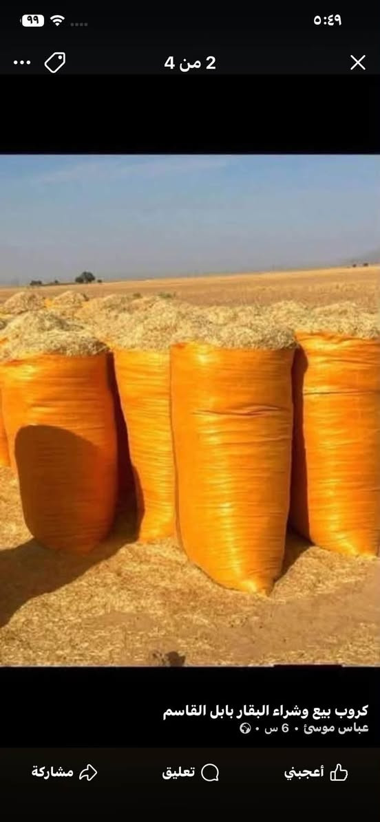 تبن ستندر • أبيض • توصيل