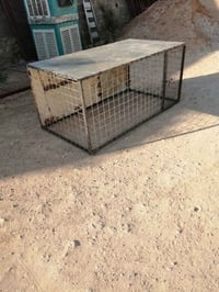 قفص • طول ١٫٥م • عرض ٨٥سم