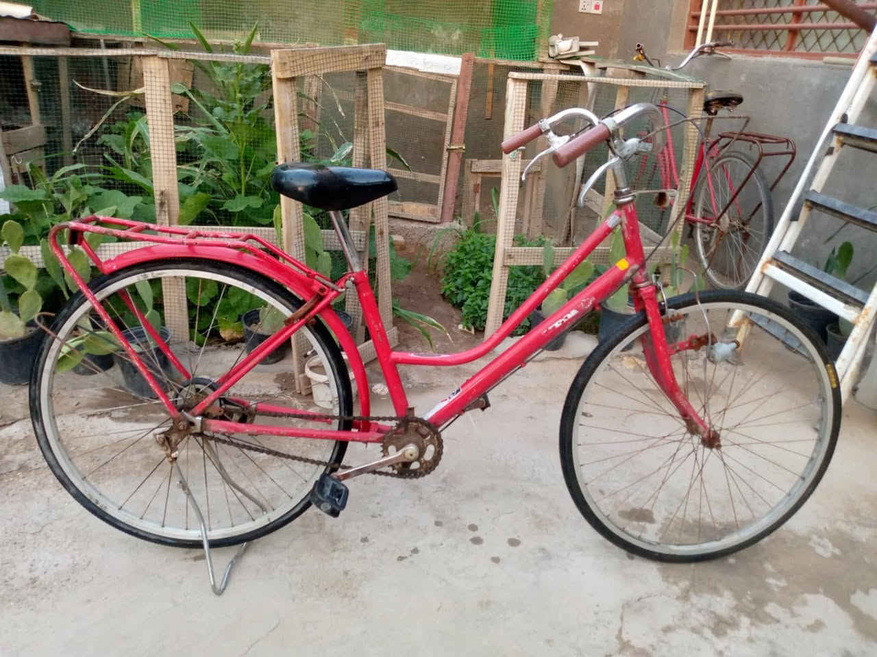 سلام عليكم 
باسكلات للبيع العدد 2🚴🚲
سعرهن ثنيناتهن ب120
الواحد ب60  وبيهن مجال 
رقم الهاتف لاستفسار 📱 ***********
