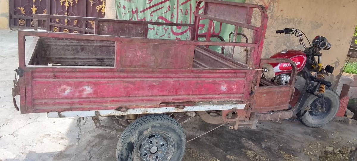 ستوته • شغاله • اصولي