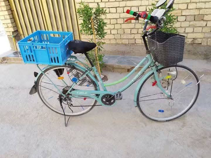 باسكال • حجم ٢٧ • كامل