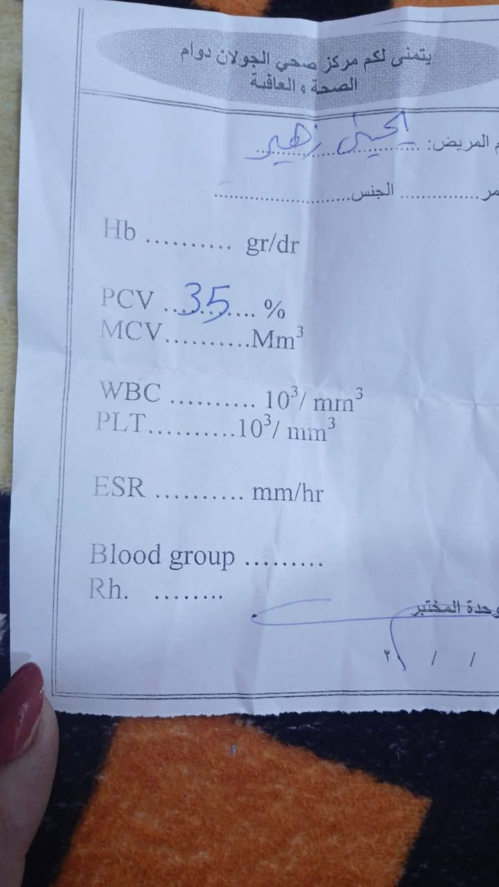 بايك D20 • ٢٠١٩ • رقم بغداد