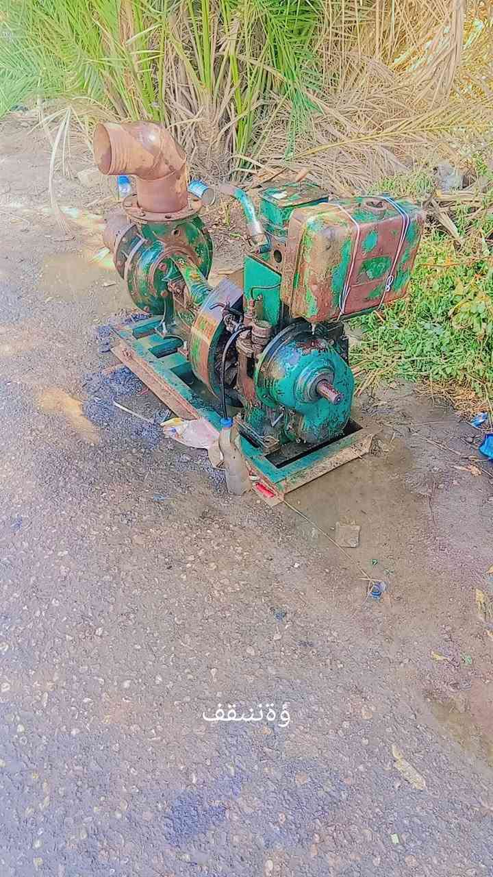 ماطور 10خنزيره 6×6شرط شغل مشروط علا ماي نوعيه وبكار نجوم السعر 400العنوان بابل كفل ***********اسيا ***********

نص مكتوب في الصور:
- وة تشقف
- وْةننقف
- وّة ننقف
- وَة نتقف