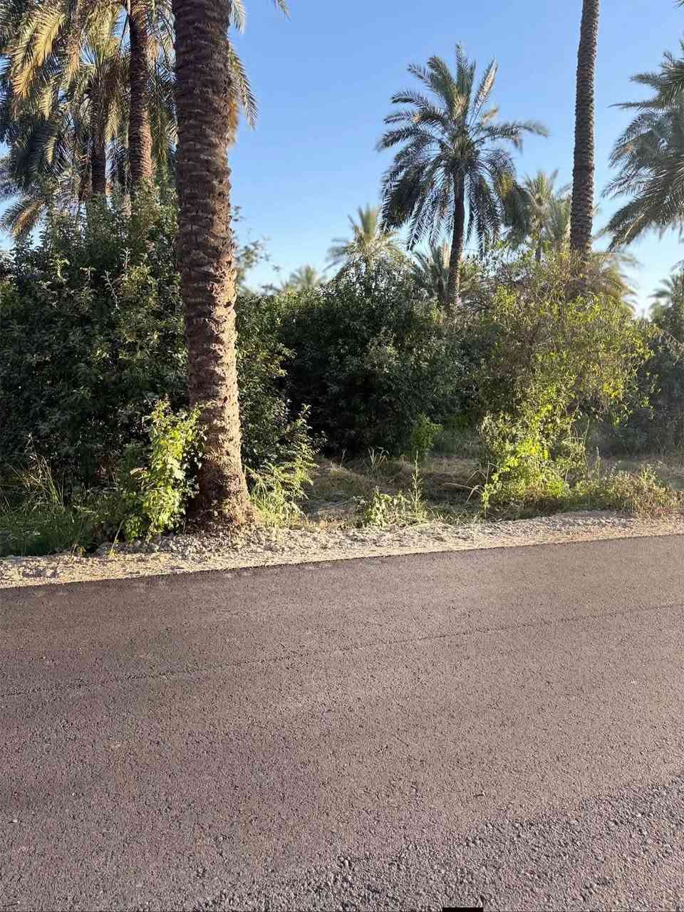 قطع اراضي باسعار جيدة موقعها التاجي الفلاحات شاطئ التاجي الارض ملك صرف على تسجيل عقار الكاضمية
500 متر
1000 متر 
1500 متر
2500 متر
متوفر كامل خدمات ماء كهرباء مدرسه قريبة جامع قريب 
الاستفسارات *********** اخواني الأعزاء لا تستفسرون بالتعليقات لين مو كلهم يوصلوني ادخلولي خاص او راسلوني واتساب معا احترامي للجميع بس اي شخص يرد عليك غيري هذولة ناس يخربون سمعة تواصلك وياي او عل واتساب
قطع اراضي باسعار جيدة موقعها شاطئ التاجي الارض ملك صرف على تسجيل عقار الكاضمية
