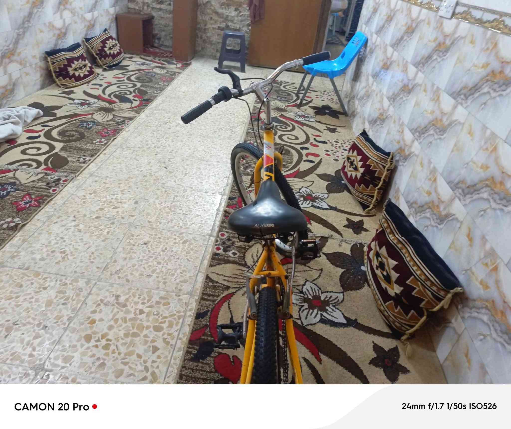 باسكل البيع السعر60قفل الرقم***********

نص مكتوب في الصور:
- CAMON 20 Pro 24mm f/1.7 1/50s ISO506
- CAMON 20 Pro 24mm f/1.7 1/50s ISO640
- CAMON 20 Pro •
- 24mm f/1.7 1/50s ISO546
- CAMON 20 Pro 24mm f/1.7 1/50s ISO526
- CAMON 20 Pro 24mm f/1.7 1/50s ISO663