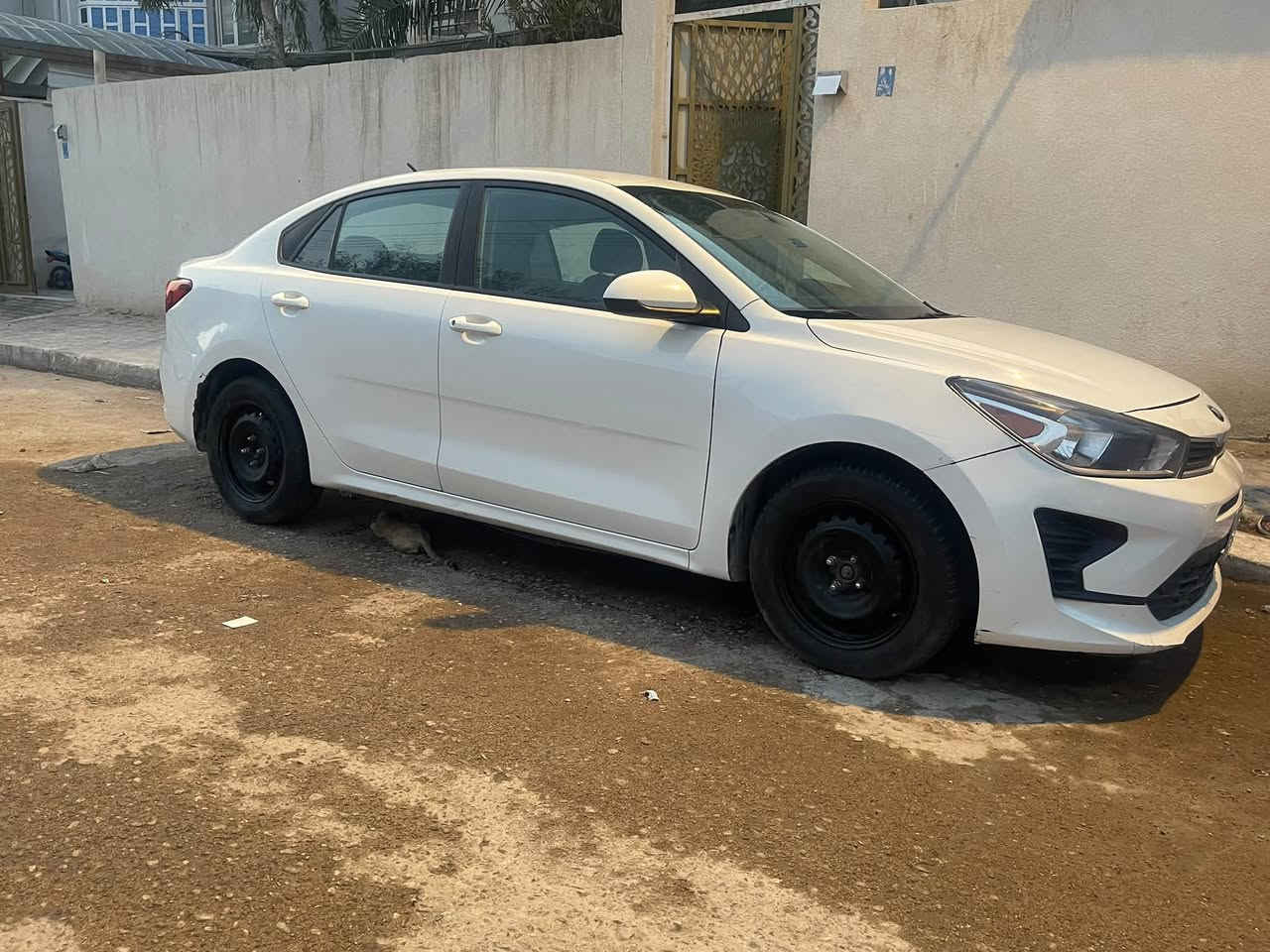 معوقين بنيه من كربلاء تسوي وكاله عامه او خاصه باقي سنه تصير حره
وارد امريكي ضربه مو بچمً باب سايق وباب ورا وناشرهه وي الصور
وبيها بارد مدكر ثاني 
حداديه كلشش تمام
ادامه
تبريد بلاد مال شركه مال ملعوب بي ابد وتبريد محترم 
گير مكينه مكفولات 
مكينه ١٦٠٠ دوش وناعمه
والسياره كلش حلوه وخفيفه بالسياقه 
وأخذها اطلع بيها تراي وافحص السعر ٨٣ وبيها مجال 
***********
مكاني بصره /كوت الحجاج
