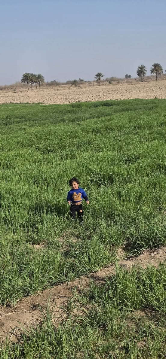 السلام عليكم مطلوب فلاح عندي ارض زراعيه صالحه للزراعه مساحتها 45 دونم بيها ابار ماء عدد 2 وكذلك لها حصه ماء من الشط متوفر فيها كهرباء داخل الارض وكذلك يوجد بحيره لخزن الماء رايد فلاح بدون حلال او رعي فقط رايده للزراعه مكانها الديوانيه الحمزه الشرقي صوب الخزاعل للاستفسار الاتصال عل الارقام 
*********** واتس اب
***********

