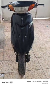 عصفوري • فول • سلف