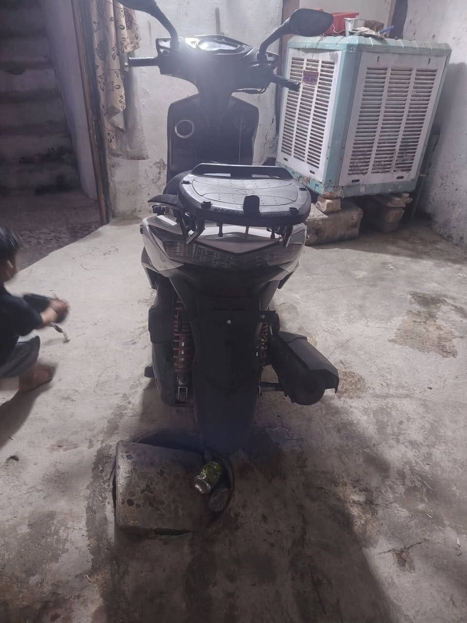 سكنس لد • ياباني • كفاله