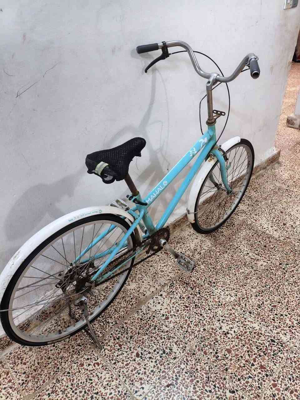 باسكل ٢٤ • ياباني • نضيف