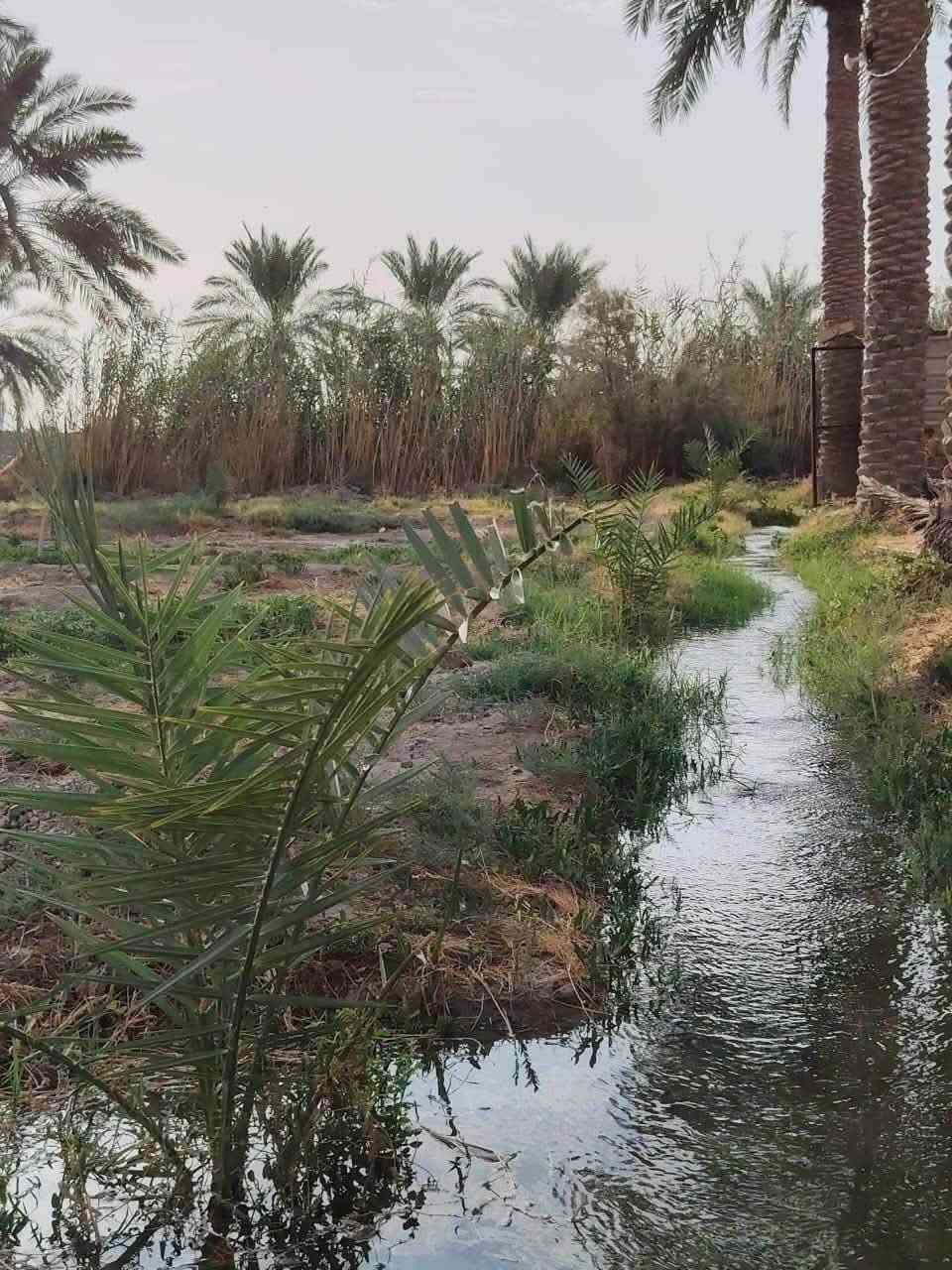 ناحية السديناويه • دونم ونص • ماء دايم