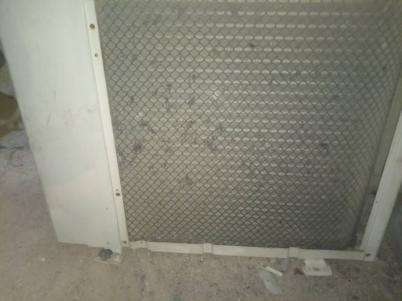 خارجيات طنين
خارجيات طنين شرط شقل والضمان بدون غاز 175
هيه وغازه 225
ضمان سبوع
البصره ابي الخصيب باب اطويل
***********

