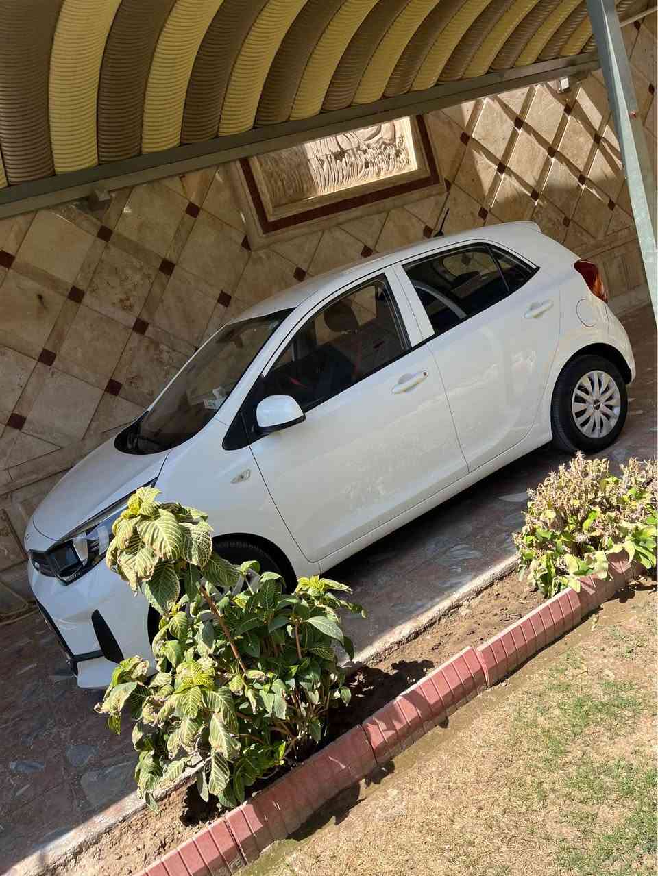 السلام عليكم 
كيا بيكانتو مورنينك وارد كوري ٣ سلندر كفالة عامة ماشية ٥٢ الف كيلومتر رقم اربيل هزة وفحص جديد بأسمي تحويل او وكالة مواصفات اعتيادية …
بغداد حي العدل 
السعر ١٠٥ ورقة
*********** بغداد, العراق
