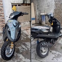 ماكس • للعب • راشديه