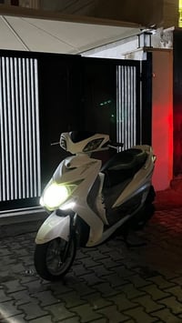 سكنس • كفوله • ابيض