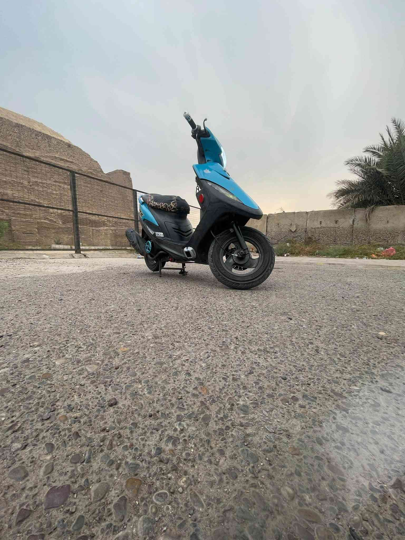 ماكس عدلة • جديدة • كفرات بلادية