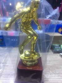 كأس فردي • بطولات • أحجام وأنواع