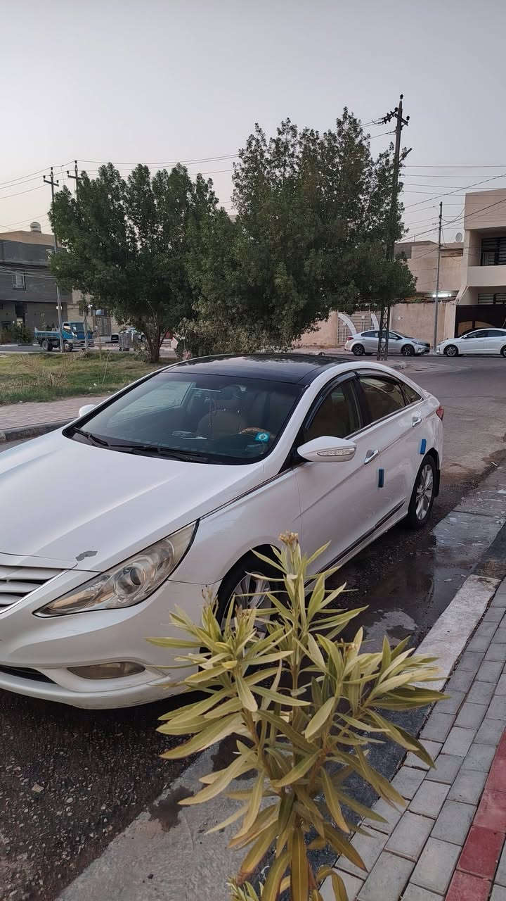 سوناتا خليجي ١١ رقم بغداد بيها رش ٤ قطع بدون حادث اثر دحجات وشخوط بدون معجون فقط رش 
كير مكينه تبريد حدادية كهربائيات كله تمام مابيها نقوصات 
105 وبيها مجال او مراوس حسب القناعه عنواني كربلاء ***********
