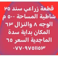 سدة الماجدية • سند ٢٥ • ٥٠٠م