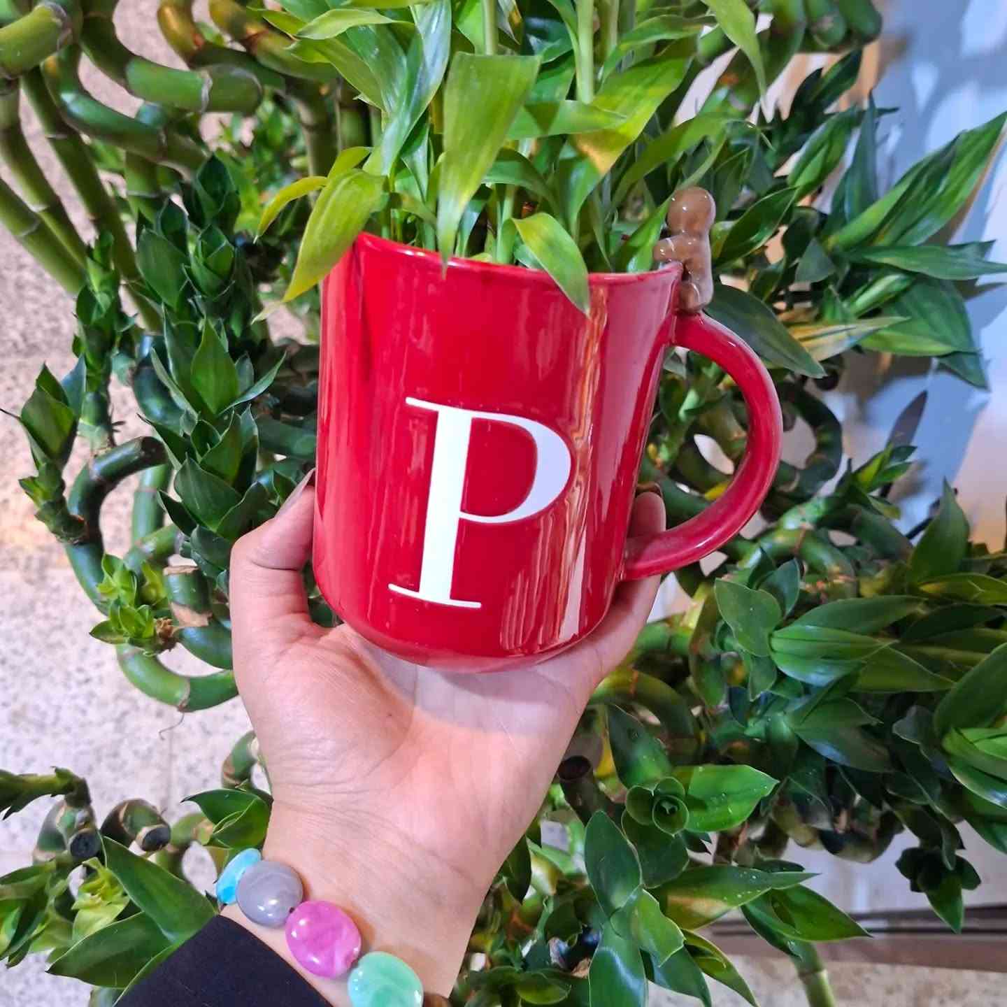 🌿✨ عرض جديد من مجمع الأورزدي ✨🌿
🌱 كوب أنيق ويا عصا موسى
لمسة خضراء بسيطة تضيف جمال وفخامة للمكان 🤍
🔥 السعر ٦٠٠٠ فقط 🔥
📍 حلة – حي الصحة – شارع الكورنيش
📞 ***********
📞 ***********

خلي بيتك يحچي عن ذوقك 🌿✨
