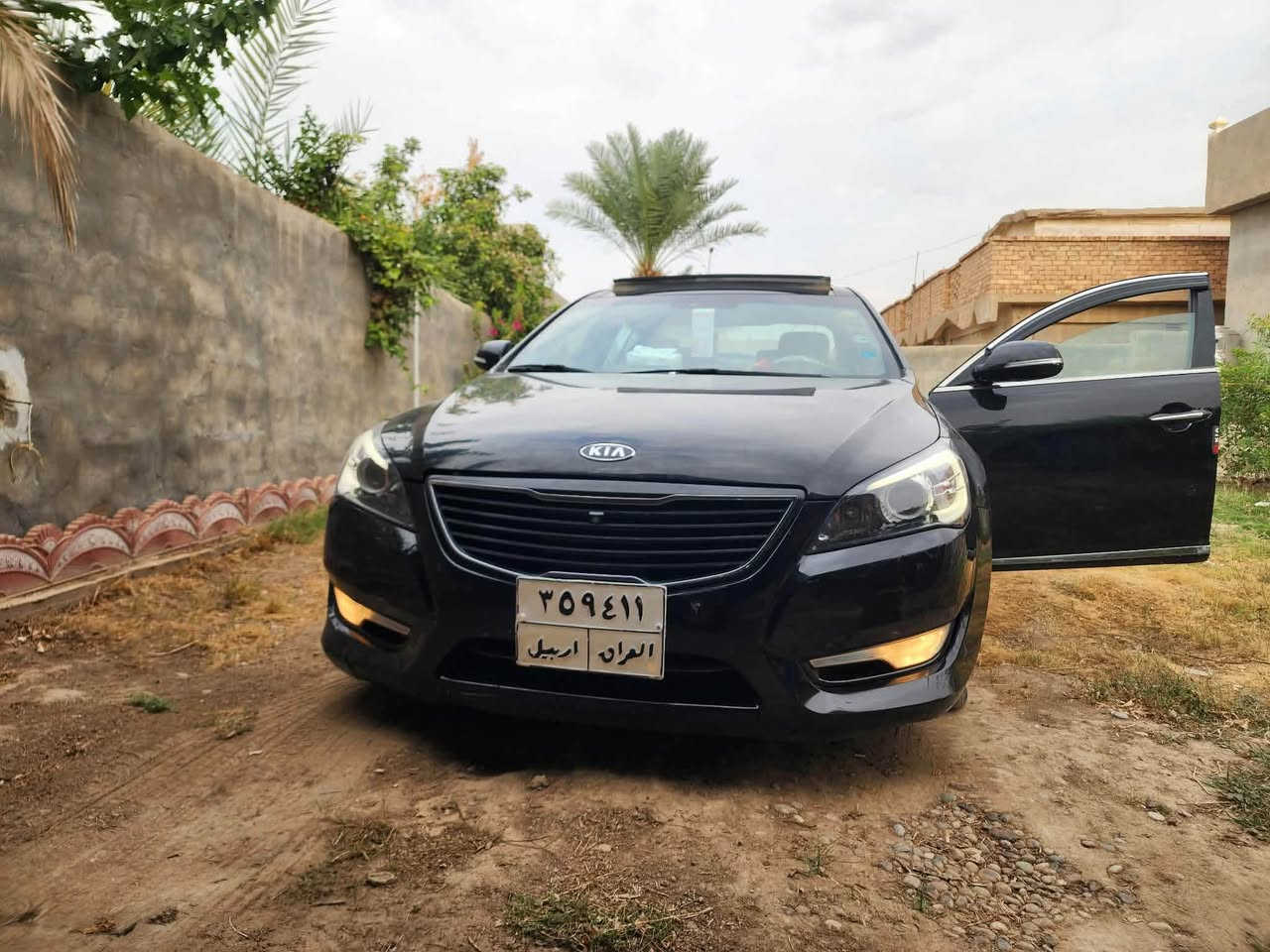 كادنزا • بصمه • بنوراما
