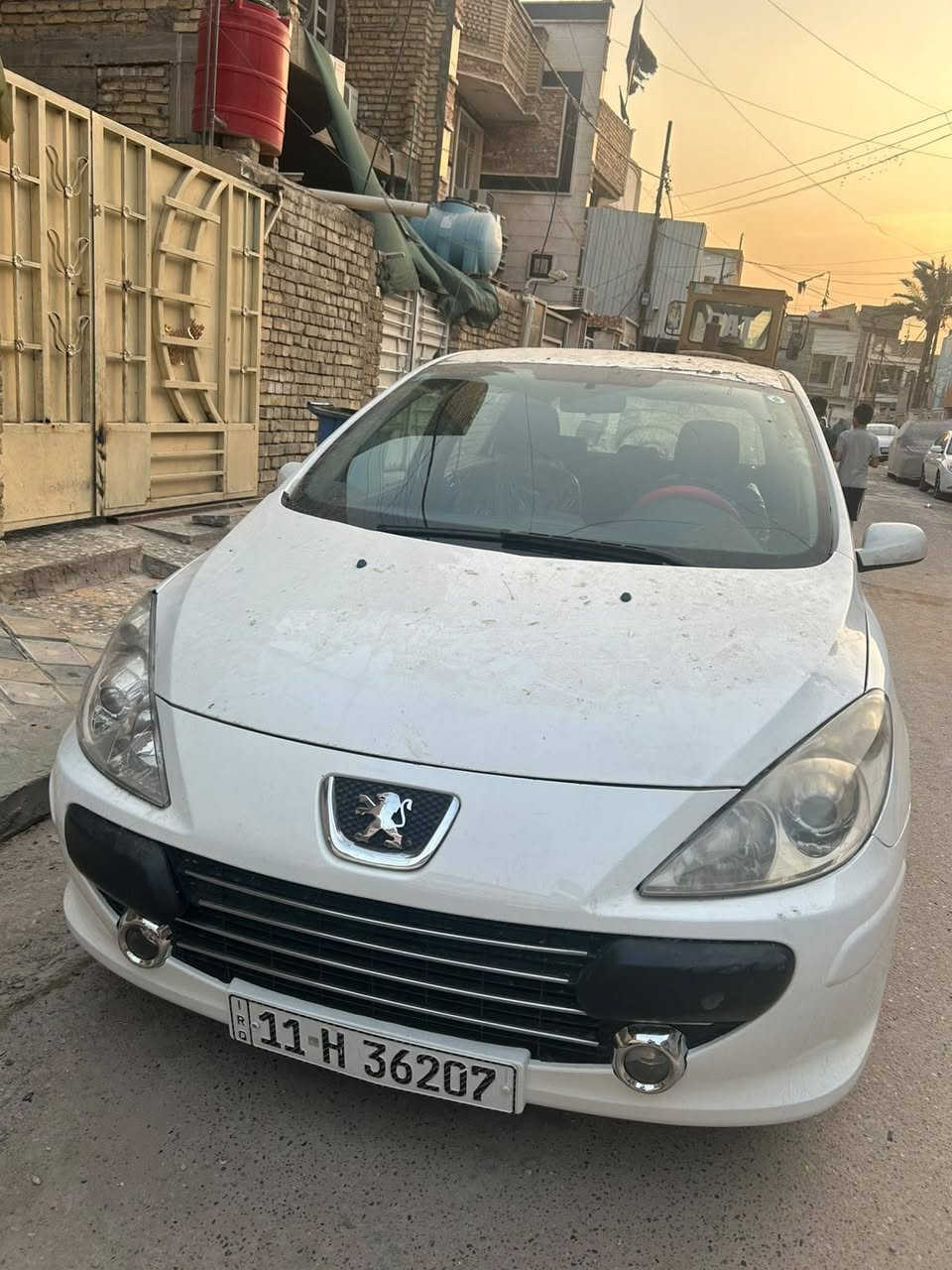 بيجو • ٢٠٠٦ • رشات صبغ