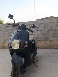 بوليس • 2010 • نوزل