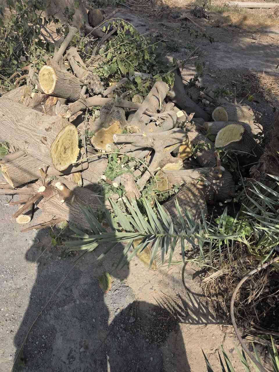 منشار • تقطيع خشب • يجيك للبيت