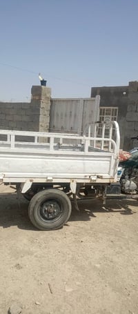 ستوته • بدون أوراق • موديل ١٨