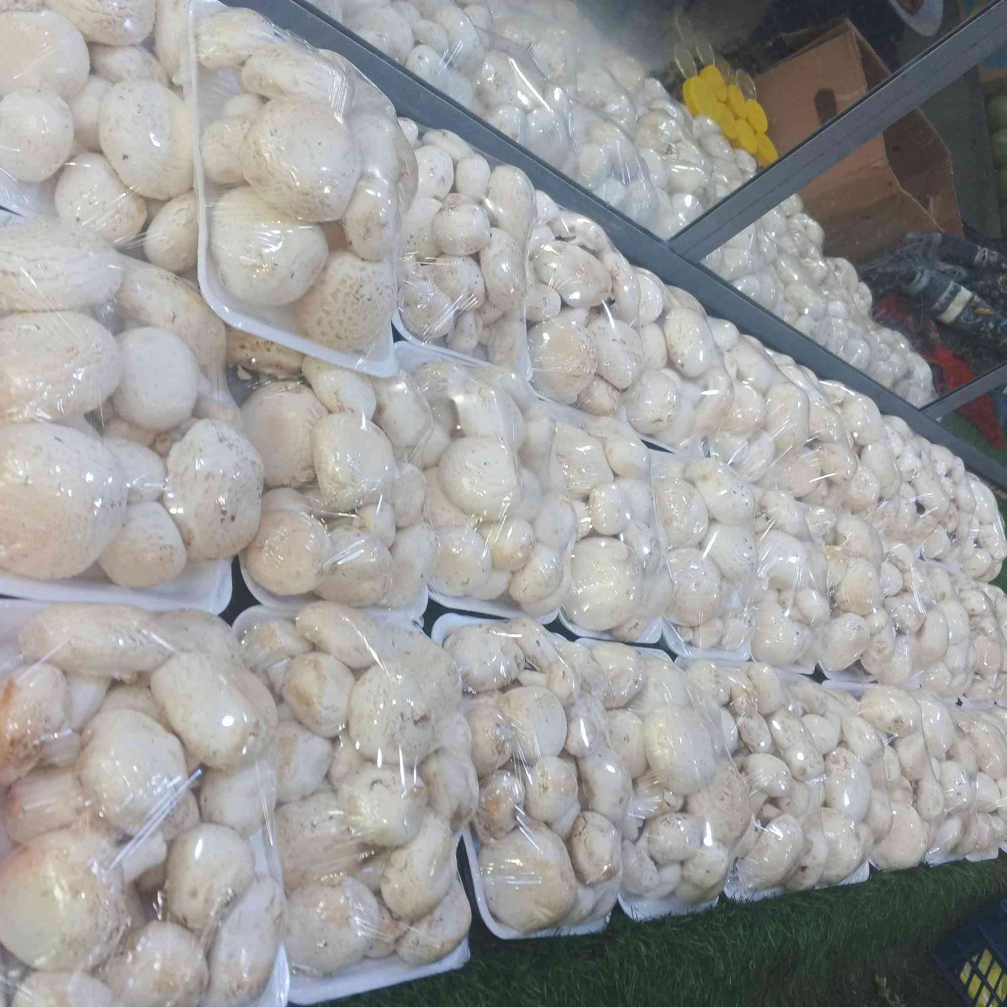 فطر هيتاوي • علوة حي المعلمين • توصيل هيت