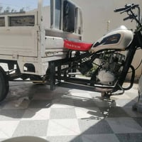 ستوته • موديل١٥ • كفالة عامه