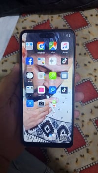 صيني • الامازون • الفلوجة