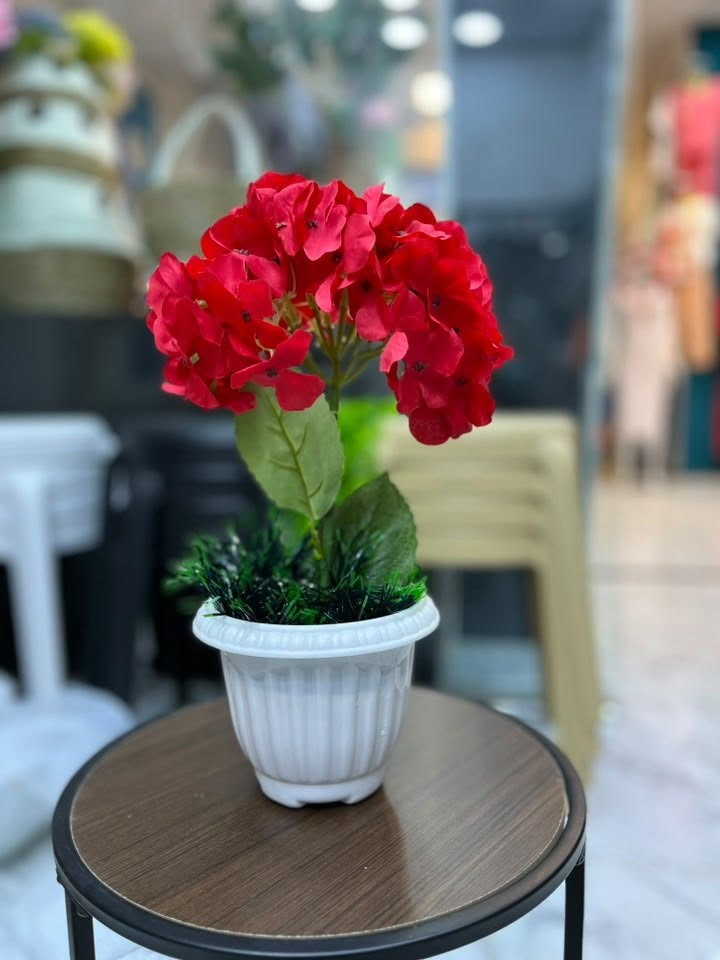 🌸🌿 تشكيلة ورود صناعية ولا أروع 🌿🌸
أشكال وألوان راقية تضيف لمسة جمال وحيوية للبيت ✨🏡
مناسبة للصالونات، غرف الضيوف والمداخل 🌷💐
اختاري اللي يناسب ذوقج وخلي بيتج أجمل 🌸😍

📍 العنوان: بعقوبة – التحرير – مجمع القمة داخل القيصرية – مقابيل المصعد
📞 ***********
📞 ***********
