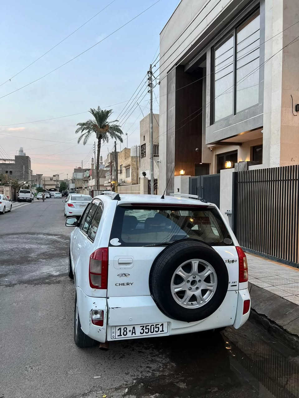 تيكو ٢٠١٢ • رقم بابل • زينون
