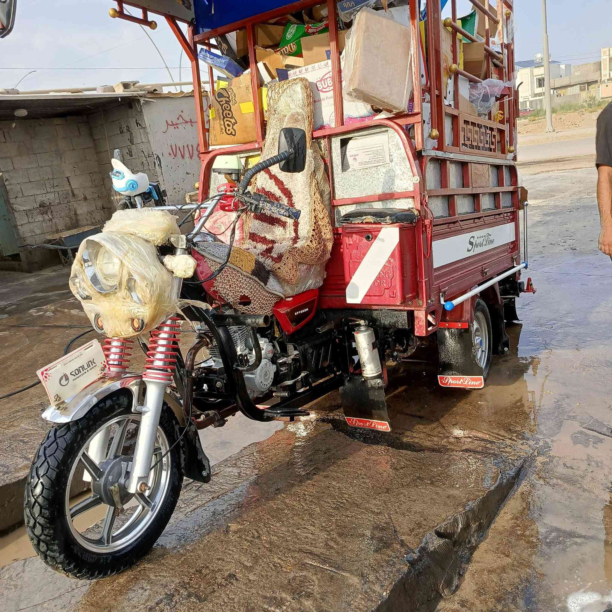 ستوته • ٢٠٢٣ • بدون محجل