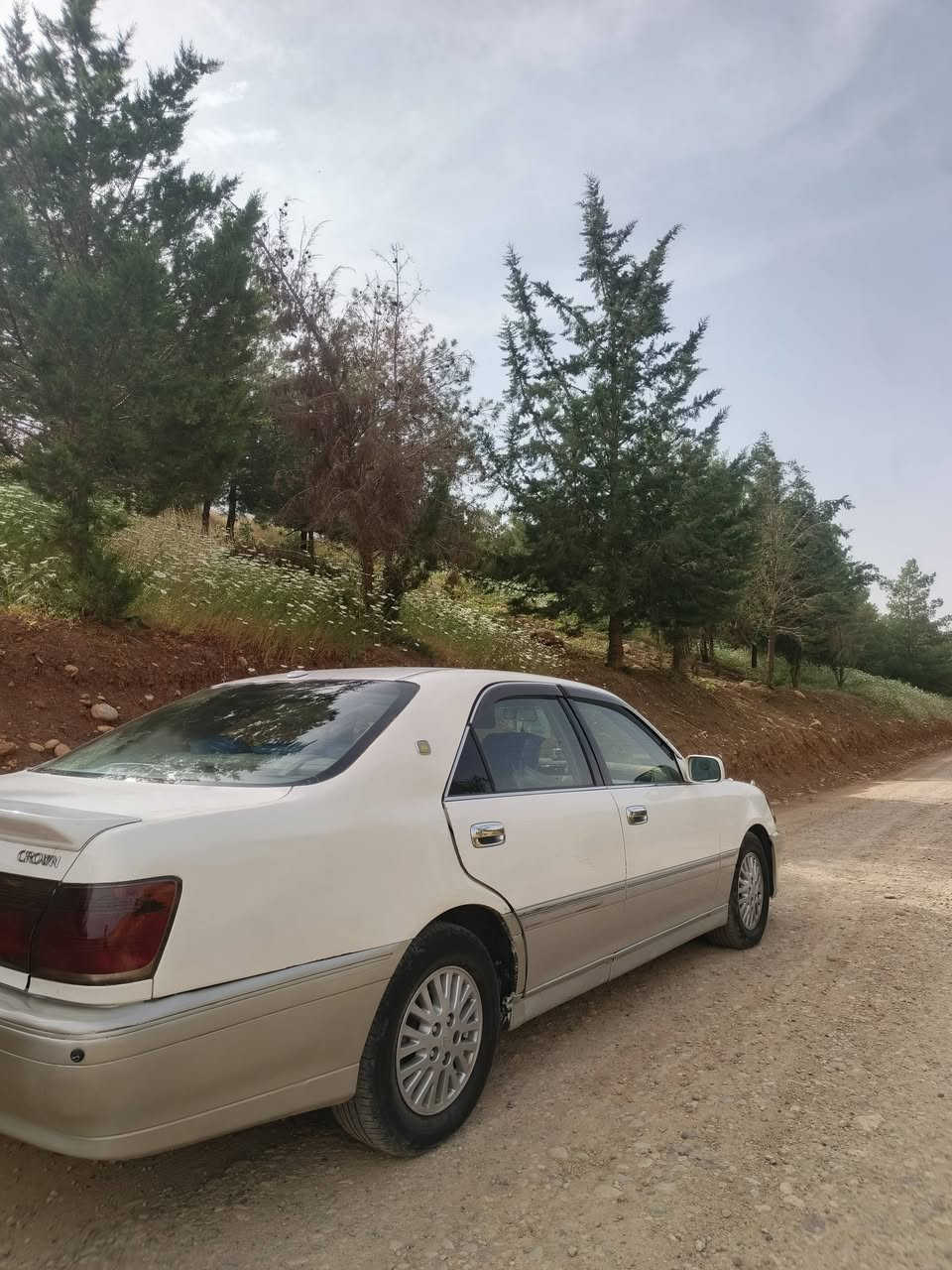 مەلیکە بڕاوە ٢٠٠١  D4 171
سەخف و گێڕ و مەکینەی بەشەرت 
کۆدی بەناو خۆمەوەیە 
دوو دوگمە 
سەیارەی خۆمە هی مەعرەز نییە 
تەقە و ڕەقە و گێڕ و مەکینە بە شەرت 
قرچێکی چاملخ دواوەی هەیە 
تەبریت سارد بەشەرت 
گەرمیەکەی وەلفی تیا نیە بەس 
کەڤەر گۆڕاو و ئەمانە بەشەرت 
پێش و دوا عادی 
سعر ٣٥ گەڵا 
*********** whatsapp
