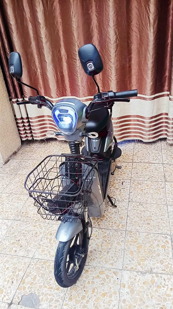 رقم فقط • بدون وصف • غير محدد