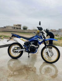 قفاز كاويار • ٢٠٢٥ • محرك شرط